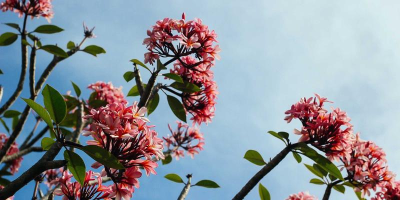 婴儿洗衣液怎么选?看懂成分安全、除菌力与低敏性,新手爸妈必读指南