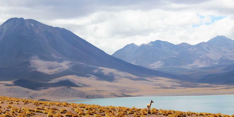 婴儿理发器选购全攻略:静音、安全、易清洗,在家轻松打造宝宝专属帅气发型