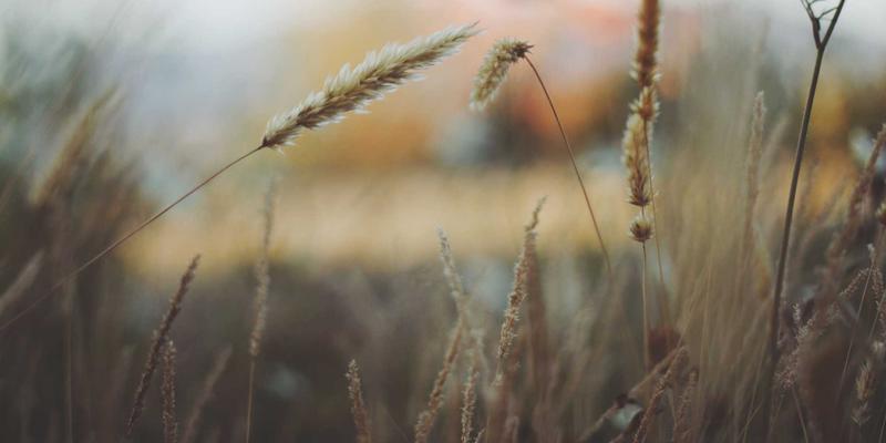 新手妈妈必备指南：产后恢复用品清单，从收腹带到婴儿用品全解析