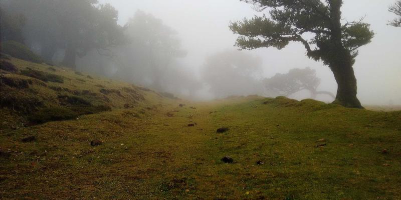 新手爸妈必看！短途自驾与长途飞行全场景母婴用品打包指南，告别出行焦虑