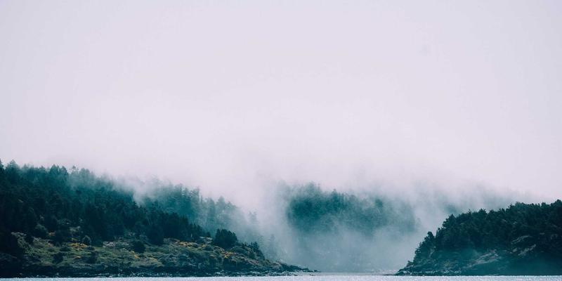 高景观VS轻便型婴儿推车：新手父母必看的选购指南