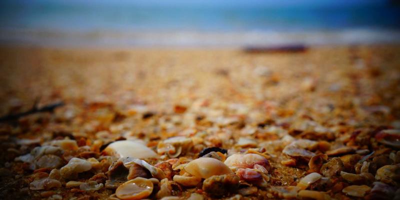 高景观还是轻便型?新手爸妈必读:婴儿推车选购终极指南